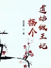 拐个道姑当王妃