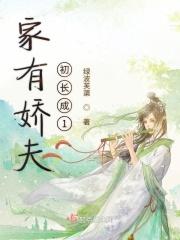家有娇夫全文阅读