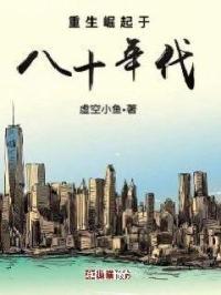 重生八十年代奋斗
