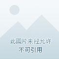 错爱成婚陆总你认错人了免费观看