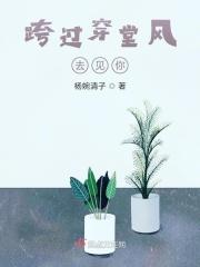 跨越什么去见你