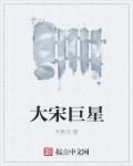 大宋 大明