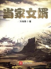 免费阅读全文女婿当道