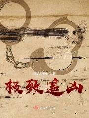 极速追凶豆瓣