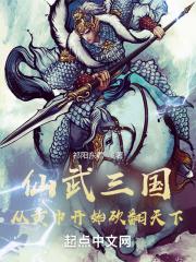 仙武三国类