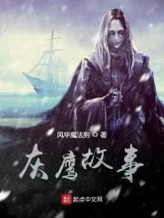 灰鹰z解说