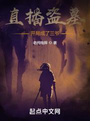 直播盗墓开局扮演小哥