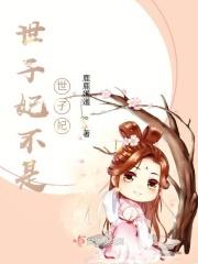 世子妃讲的什么