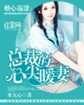 暖婚撩人总裁的心尖宠