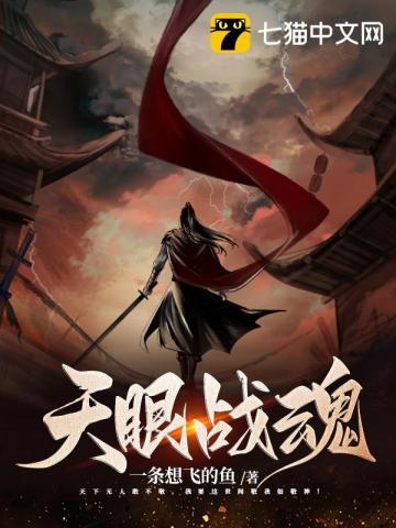 天眼之魂有几幕