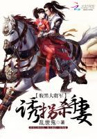 诱拐腹黑国师免费阅读