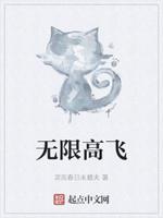 无限飞航空