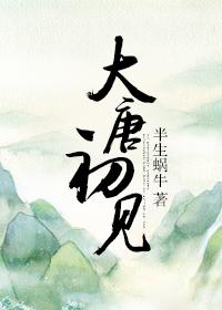 大唐xs