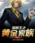 海贼王之黄金城简介