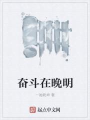 奋斗在明朝末年