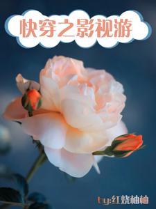 影视世界快穿文