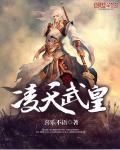 凌天武帝农民全文免费阅读