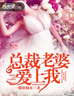 总裁老婆爱上我北也也