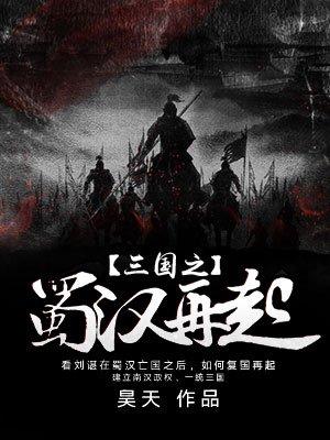 三国之蜀汉再起全文免费阅读