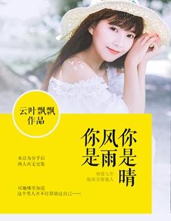 歌词你是雨我是风是什么歌