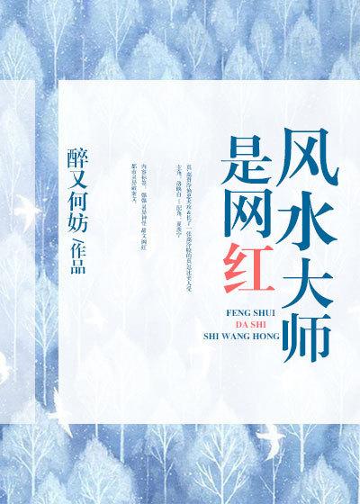 风水大师是网红免费阅读