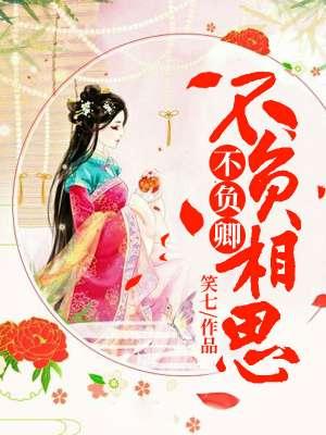 不负相思不负君意思