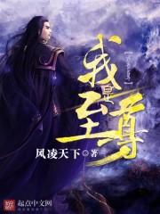 我是至尊短剧免费观看