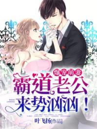 霸道老公宠萌妻电视剧版