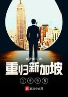 重归新家坡1995防盗
