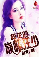 大明星家宴美食