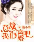 总裁我们离婚吧by黎文乐