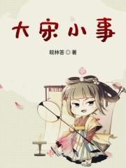 大宋小宋是什么意思