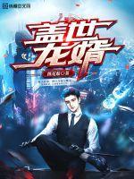 盖世龙帅叶辰
