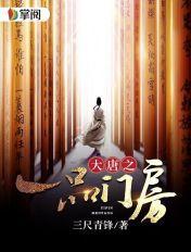 大唐一品无错字