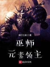 巫师元素领主TXT免费版