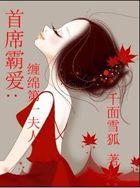 首席老公缠到底的